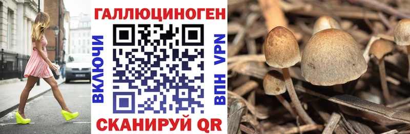 Галлюциногенные грибы GOLDEN TEACHER  blacksprut ссылка  Россошь 